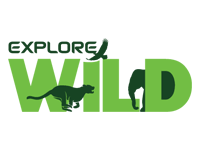 TRUE EXPLORE WILD