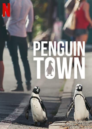 Penguin Town Season 1 (2021) เพนกวิน ทาวน์