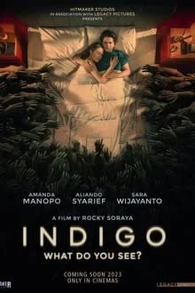 Indigo (2023) เธอเห็นอะไร