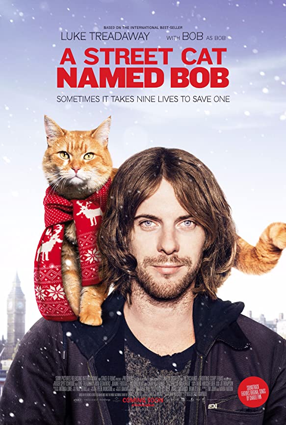A Street Cat Named Bob (2016) บ๊อบ แมว เพื่อน คน