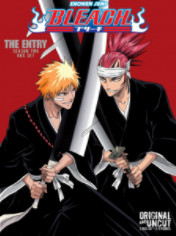 Bleach Season 3 (2005) เทพมรณะ ฤดูกาลที่ 3 บทสรุปโซลไซตี้