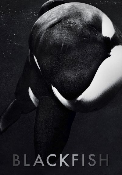 Blackfish (2013) แบล็คฟิช วาฬเพชฌฆาต
