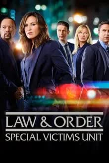 Law & Order Special Victims Unit Season 9