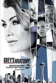 Grey's Anatomy Season 14 (2017)