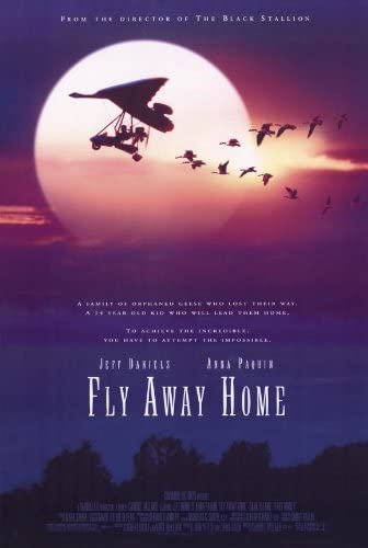 Fly Away Home (1996) เพื่อนรักสุดขอบฟ้า