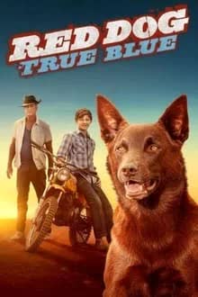 Red Dog True Blue (2016)