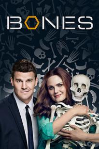 Bones Season 10 (2014) พลิกซากปมมรณะ ปี 10