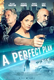 A Perfect Plan (2020) [ไม่มีซับ]