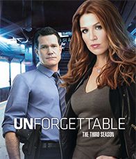 Unforgettable Season 3 (2015) สวยสืบความทรงจำมรณะ ปี 3