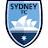 team logo