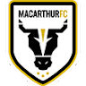 team logo